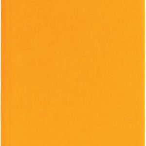 ასაკინძი ყდა A4 (Saffron C09) 100 (ფურც) 230 გრამი