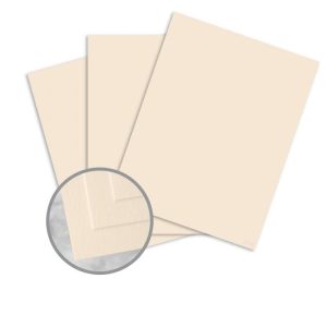 ასაკინძი ყდა A3 PC3005-02 (Beige C02) 100 (ფურც)