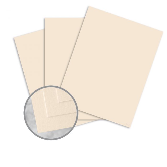 ასაკინძი ყდა A3 PC3005-02 (Beige C02) 100 (ფურც) - Image 1
