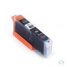 კარტრიჯი PGI-451BK (Black)